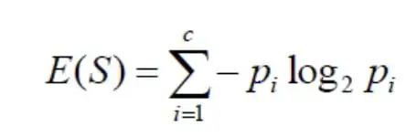 math Formula for calculating entropy