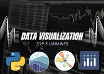 Ultimate Guide to Data Visualization in Python: Exploring the Top 3 Libraries
